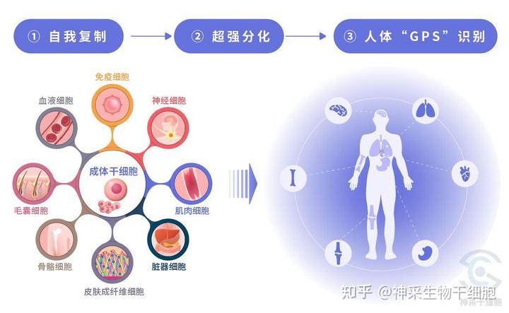 8个提高代谢的压箱底方法 从160斤到120斤 如何逼自己瘦下来