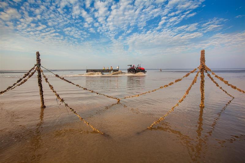 现实版海水倒流视频 (现实版海水倒灌！土耳其哪一地区出现海水倒灌)