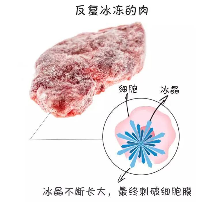 冷冻肉反复解冻会滋生细菌吗 (冷冻肉反复解冻有什么危害)