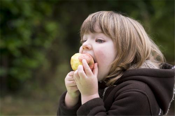 吃苹果有什么好处,功效有哪些 (吃苹果有什么学问 吃苹果的学问有哪些)