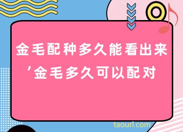 配种多久能知道怀孕 (配种多久能知道狗狗怀孕 狗狗多大可以配种)