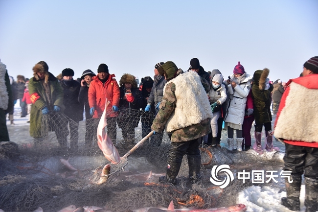 冬天怎么给多肉植物浇水 (多肉植物浇水要浇透吗)