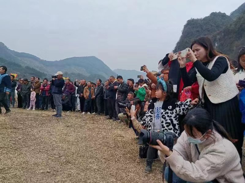 酒精会吸引蚂蚁进屋吗 (酒精会吸引蚂蚁吗 酒精喷在蚂蚁身上会怎样)