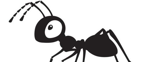 蚂蚁代表的象征意义是什么 (蚂蚁代表的象征意义是什么 蚂蚁的象征意义是什么四字词语)