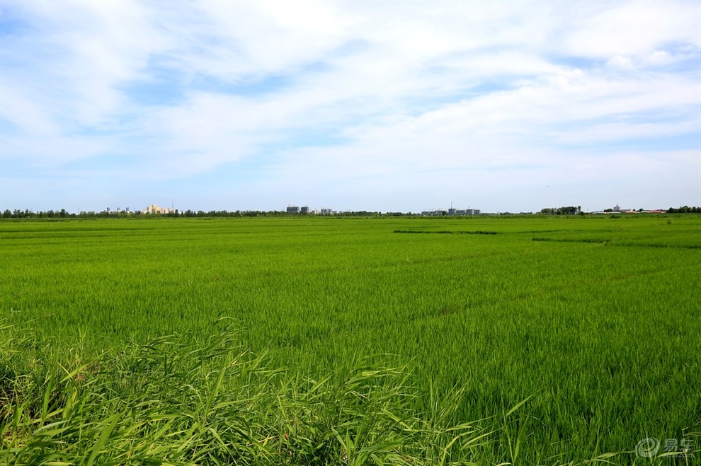 华北平原的土地利用类型 (华北平原的土壤是什么 华北平原的土壤是什么图片)