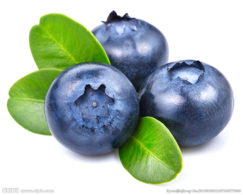 蓝莓施什么肥