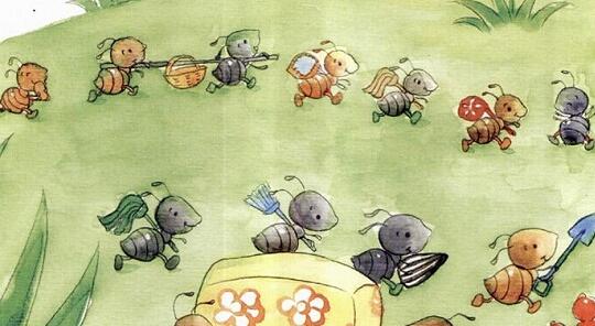 蚂蚁搬家要下雨的观察日记