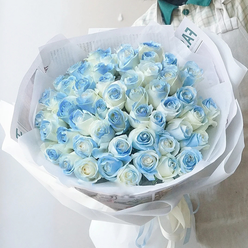 蓝玫瑰的花语是什么 蓝玫瑰的花语