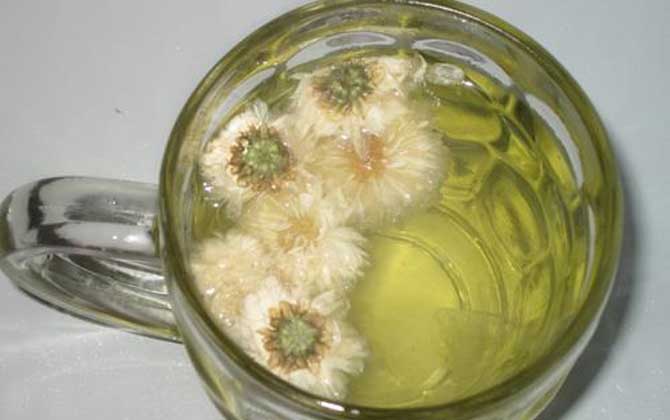 菊花茶重要成长的环境 菊花茶的成长环境及特点