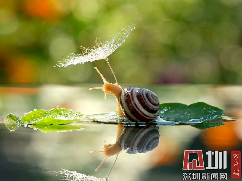 超长雨季工期延误怎么办