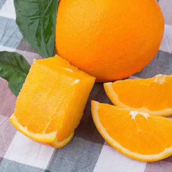 脐橙的四大产地 中国脐橙之乡是哪里