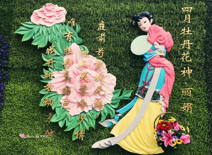 三月花的花神是什么花 三月花可以施肥吗