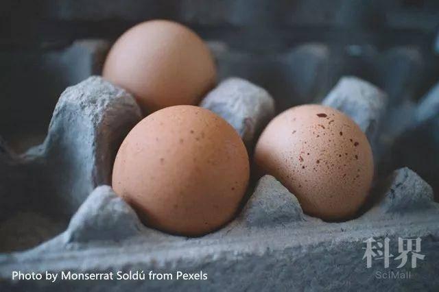 鹅蛋外壳发霉还可以吃吗 霉菌细菌微动物惹起食物中毒