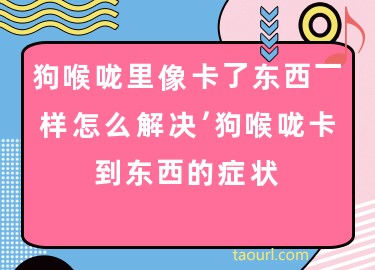 狗狗喉咙卡物品怎样办 狗狗觉得喉咙像卡物品一样