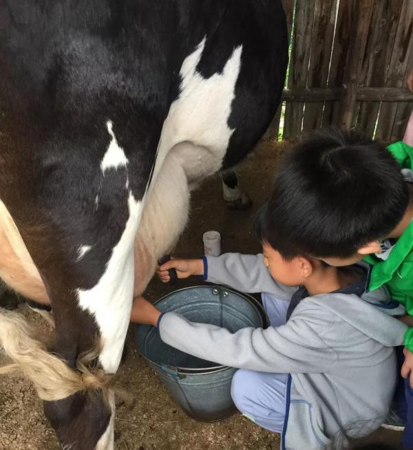 小孩可以吃羊肉吗 羊肉不适宜什么人吃