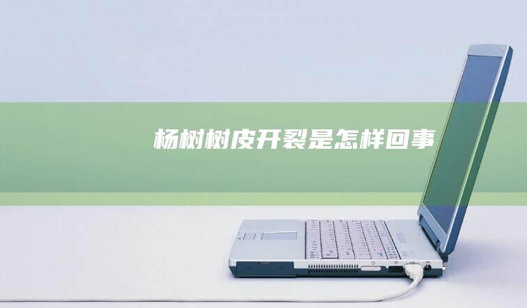 杨树树皮开裂是怎样回事