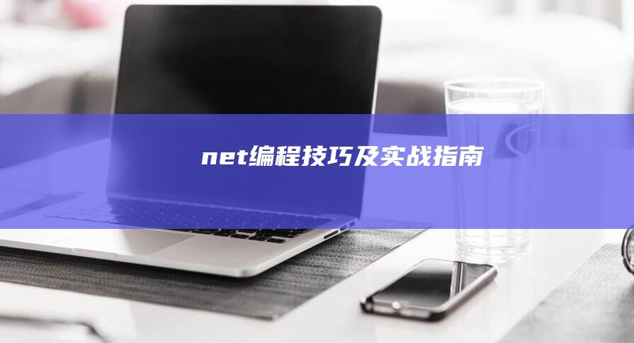 .net编程技巧及实战指南