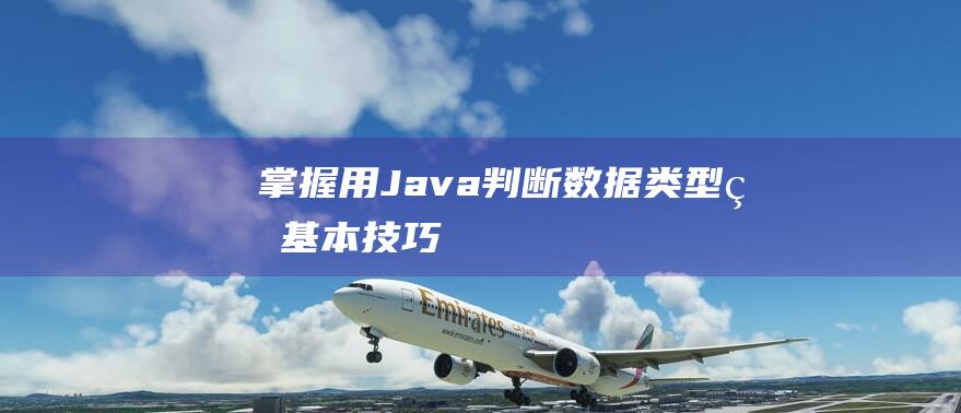 掌握用Java判断数据类型的基本技巧