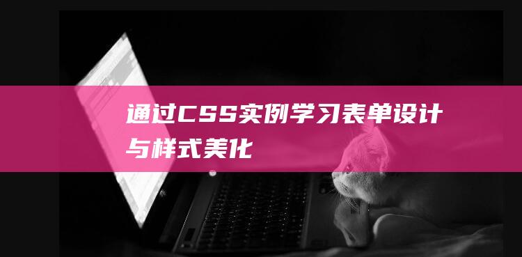 通过CSS实例学习表单设计与样式美化