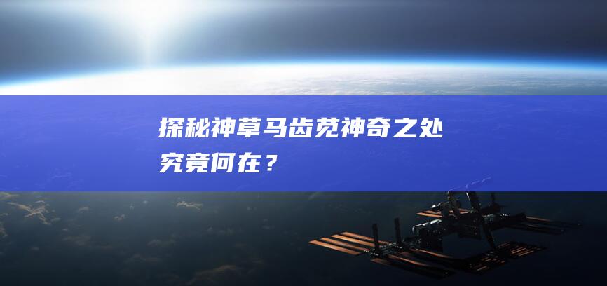 探秘神草马齿苋：神奇之处究竟何在？