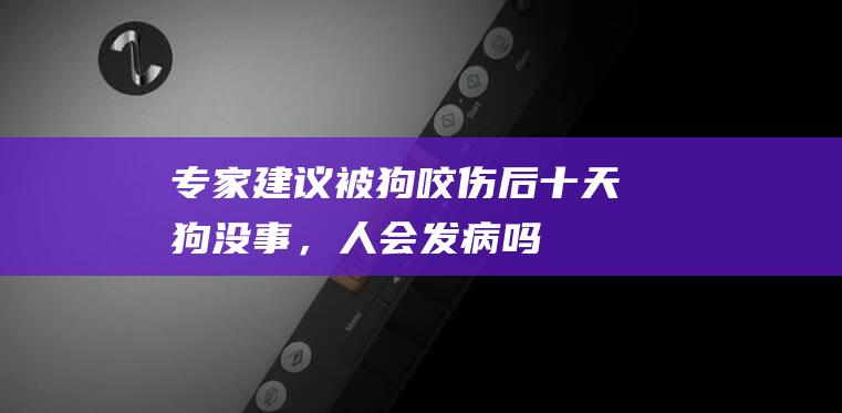 【专家建议】被狗咬伤后十天狗没事，人会发病吗？请立即参考这些应对方法！