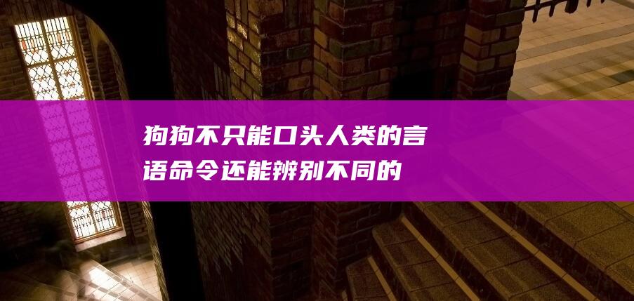 狗狗不只能口头人类的言语命令-还能辨别不同的人类言语 (狗狗可以执迷不悟)