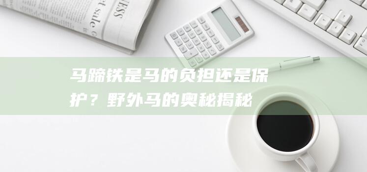 马蹄铁：是马的负担还是保护？野外马的奥秘揭秘