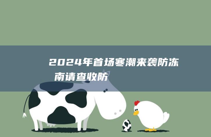 2024年首场寒潮来袭！防冻指南请查收！-防病毒手抄报