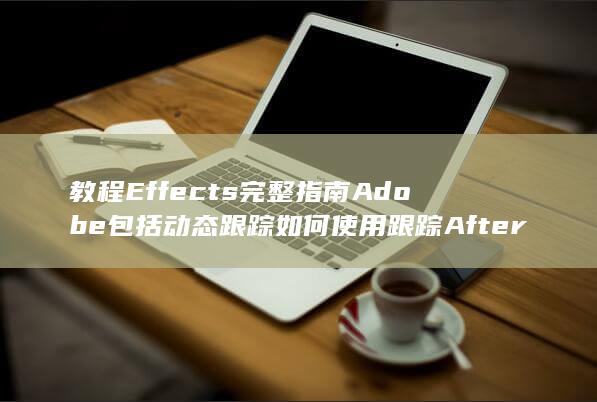 教程 Effects 完整指南 Adobe 包括动态跟踪 如何使用跟踪 After (教程是什么意思)