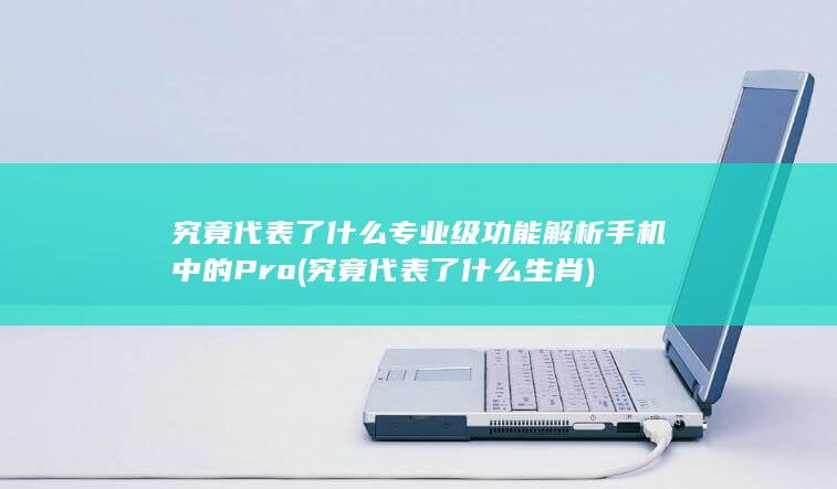 究竟代表了什么 专业级功能解析 手机中的 Pro (究竟代表了什么生肖)