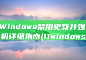 11 Windows 禁用更新并强制关机 详细指南 (11windows)
