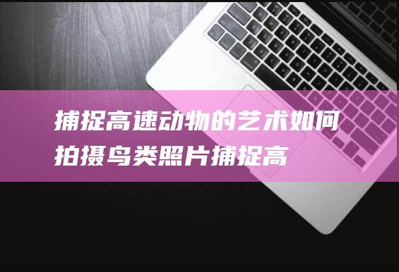 捕捉高速动物的艺术-如何拍摄鸟类照片 (捕捉高速动物的游戏)