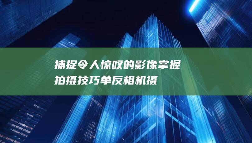 捕捉令人惊叹的影像-掌握拍摄技巧-单反相机摄影教程 (捕捉令人惊叹的句子)