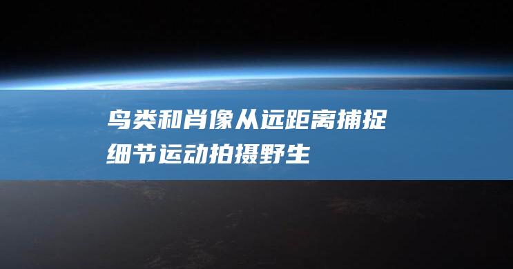 鸟类和肖像-从远距离捕捉细节-运动-拍摄野生动物-长焦镜头的用途 (鸟类画像)