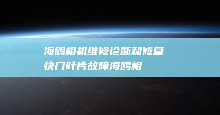 海鸥相机维修-诊断和修复快门叶片故障 (海鸥相机维修图解)