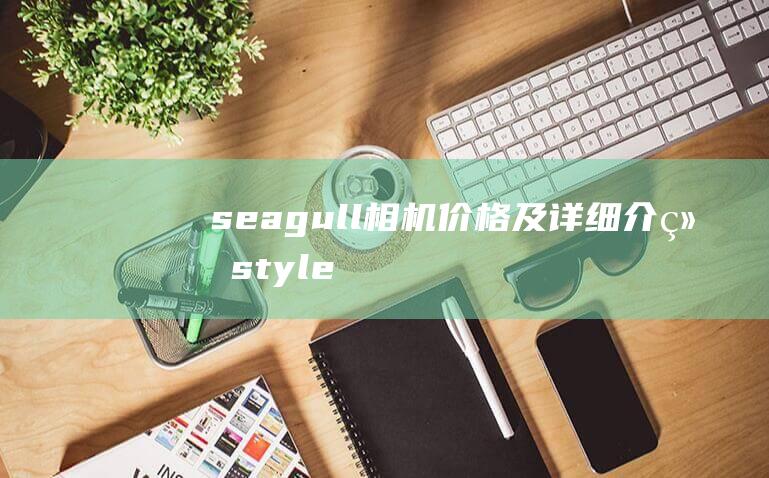 seagull相机价格及详细介绍style